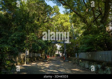 Shirarahama, Japan - 25. Oktober 2023: Ein Torii-Tor aus Stein steht am Eingang eines schattigen Pfades, der von Bäumen und hölzernen Zäunen gesäumt ist und zu einem schintoistischen Schrein in einem bewaldeten Gebiet führt. Stockfoto