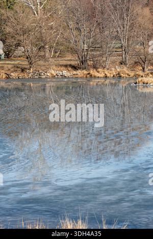 Reflexion von Ufer und Bäumen in gefrorener Seenoberfläche. Stockfoto
