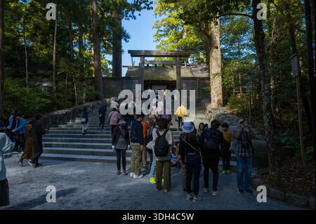 ISE, Japan - 29. Oktober 2023: Eine Gruppe von Menschen steht und geht an der Steintreppe und dem Torii-Tor, die zum Hauptschrein von Kotai Jingu in Ise Jingu führen, umgeben von hohen Bäumen und bewaldeten Anlagen bei Tageslicht. Stockfoto