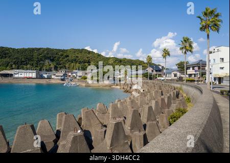Shirarahama, Japan - 25. Oktober 2023: Eine mit großen Tetrapoden gesäumte Betonmauer verläuft entlang des Ufers mit Palmen, Wohngebäuden und einem kleinen Hafen, der unter einem klaren blauen Himmel zu sehen ist. Stockfoto