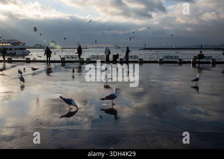 Istanbul, Türkei. Januar 2026. Während das kalte Wetter in Istanbul untergeht, sah man Vögel, die Nahrung verstreut am Boden entlang der Küste von Kadikoy aßen. (Foto: Onur Dogman/SOPA Images/SIPA USA) Credit: SIPA USA/Alamy Live News Stockfoto