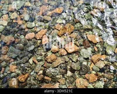 Blick von oben auf lebendige, bunte Meeressteine, sichtbar durch transparentes, plätscherndes Wasser. Stockfoto