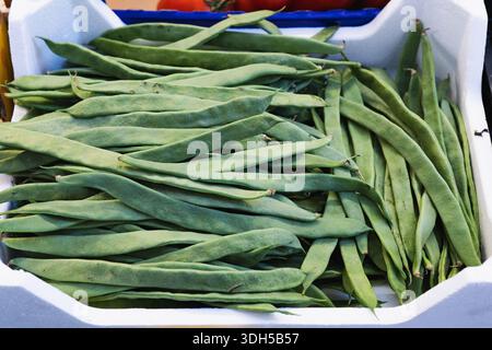 Eine Sammlung frischer grüner Bohnen in einer weißen Kiste auf einem lokalen Markt. Die leuchtend grüne Farbe der Bohnen hebt sich von der weißen Farbe ab Stockfoto