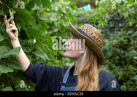 Eine Frau mit Strohhut und Overall pflegt vorsichtig ihren Garten und pflückt frische grüne Bohnen aus üppigen, grünen Weinstöcken. Ihr heiterer Ausdruck spiegelt ihn wider Stockfoto