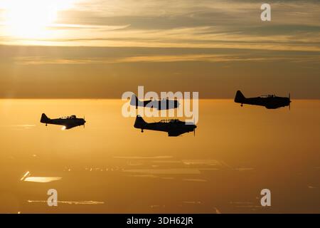 Dieses Bild zeigt mehrere texanische Flugzeuge in Nordamerika, darunter T-6G N5451E, AT-6D N7572, SNJ-5 N5199V und AT-16 Harvard IIB N8994, die während der Sun 'n Fun Aerospace Expo 2025 über Florida in Formation waren. Die Flugzeuge werden in den Farben der U.S. Air Force, der South African Air Force und der U.S. Navy ausgestellt. Piloten sind in Cockpit-Silhouetten vor Sonnenuntergang sichtbar. Bei den Flugzeugen handelt es sich um einmotorige, niederflügelige, zweisitzige Trainer, die mit Radialmotoren angetrieben werden und historisch für militärische Pilotenausbildung und Flugschau-Demonstrationen verwendet wurden. Stockfoto