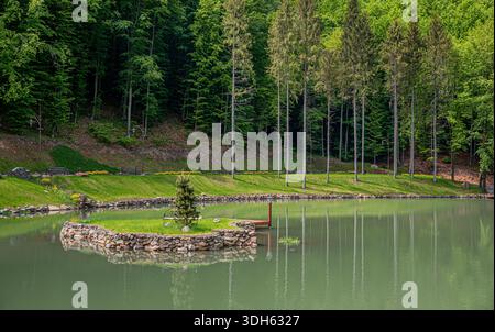 Ein ruhiger künstlicher Teich verfügt über eine kleine Insel mit Steinmauern und einem einzelnen immergrünen Baum, der sich inmitten eines üppigen grünen Waldes befindet Stockfoto