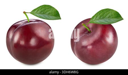 Zwei Pflaumen isoliert auf weißem Hintergrund. Organische frische Pflaume isoliert auf weiß. Volle Schärfentiefe Stockfoto