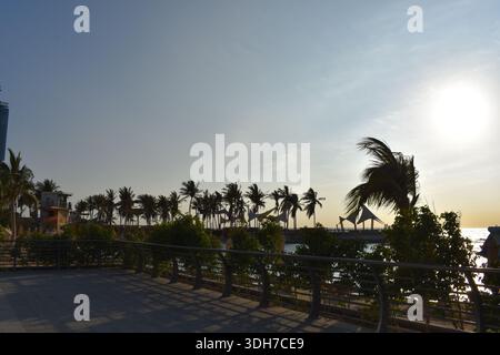 Blick auf den Garten auf die Palmen am Meer Stockfoto