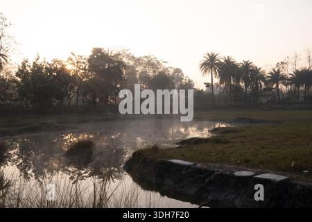 Nebliger Morgensonnenaufgang über einem tropischen Teich Stockfoto