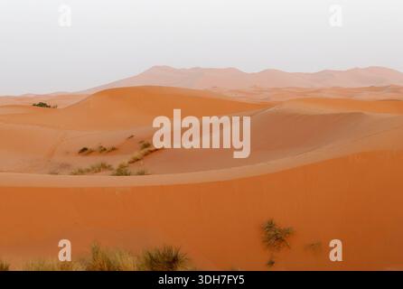 ERG Chebbi, Sahara-Wüste, Königreich Marokko, Nordafrika Stockfoto