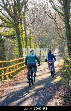 Ältere oder ältere Ehepaare, die an einem Wintertag auf einem von Bäumen gesäumten Landweg fahren. Stockfoto