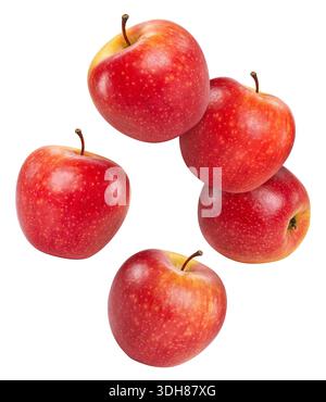 Roter Apfel isoliert mit Beschneidungspfad. Apfelfrüchte isoliert auf weißem Hintergrund Stockfoto