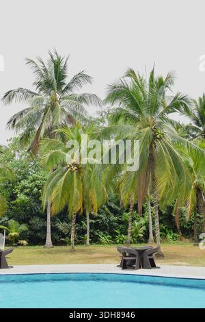Vertikale Aufnahme mit Hotelpool und Palmen im grünlichen Hotel Langkawi. Stockfoto