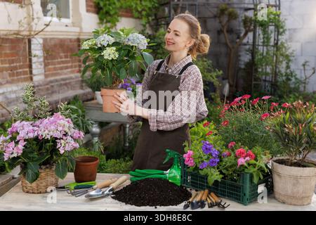 Lächelnde Frau auf Schürze, die Hortensie neben Erde und Werkzeug im Garten hält. Ideal für Webseitenbanner oder Blogs über Gartenarbeit, Umtopfen und Stockfoto