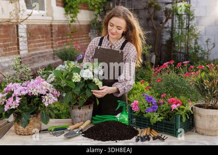 Junge Frau, die Hortensien- und Petunenpflanzen im Freien mit Boden und Werkzeugen umtopft, für Website- oder Bannerinhalte über Hausgärtnerei und Pflanzenpflege. Stockfoto