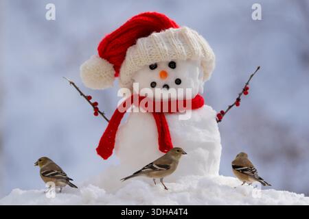 Amerikanischer Goldfink und ein kleiner Schneemann in einer verschneiten Winterkulisse Stockfoto