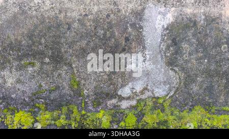 Eine hochauflösende Makroaufnahme einer verwitterten Betonwand mit leuchtendem grünem Mooswuchs an der Basis und dunklen organischen Flecken auf dem grauen, te Stockfoto