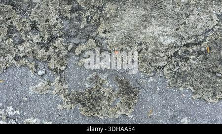 Eine hochwinklige Nahaufnahme eines verwitterten Betonbodens mit Rissen, dunklen Flecken und einer griffigen Textur mit kleinen eingebetteten Steinen und organischem g Stockfoto