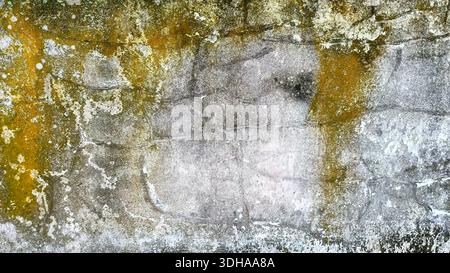 Eine Makroaufnahme einer schmutzigen, verwitterten Betonwand mit Moos, Schimmelflecken und Alterungsstrukturen. Stockfoto