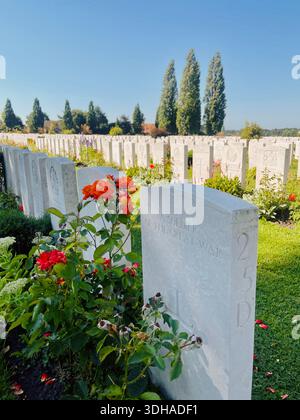 Grabsteine auf dem Militärfriedhof zu Ehren der Kriegssoldaten Stockfoto