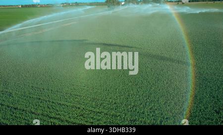 Rotationssprinkler bewässern ein landwirtschaftliches Feld bei Sonnenuntergang und erzeugen einen wunderschönen Regenbogen, der ein Symbol für nachhaltige Wasserbewirtschaftung und klimaänderung darstellt Stockfoto