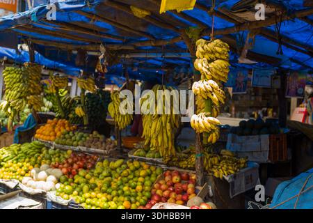 Munnar, Indien - 11. März 2023: Ein Marktstand im Zentrum von Munnar zeigt Bananenbündel, die an Holzbalken hängen. Äpfel, Orangen, Guavas und andere Früchte sind auf Tischen unter einer blauen Plane angeordnet. Stockfoto