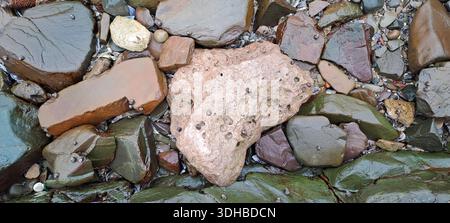 Bunte Felsen, die an einem nassen Strand glitzern, zeigen eine Vielzahl von Texturen und Formen Stockfoto