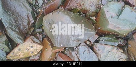 Glatte Felsen, bedeckt mit Algen und kleinen Muscheln am Ufer Stockfoto