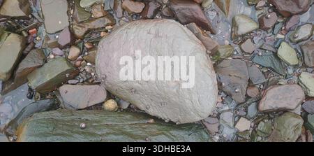 Feuchte bunte Felsen glitzern am Strand mit einem großen grauen Felsen im Vordergrund Stockfoto