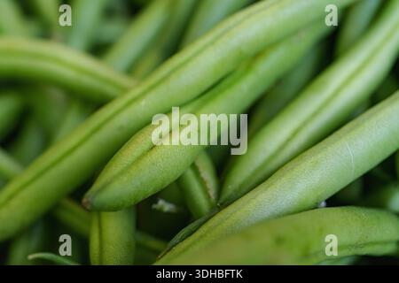 Frische grüne Bohnen aus nächster Nähe Stockfoto