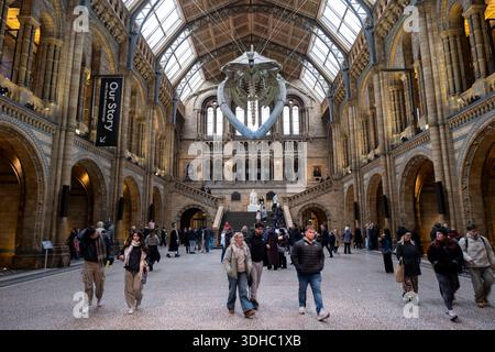 Besucher unter dem Skelett eines Blauwals in der Hintze Hall, dem Haupteingang des Natural History Museum am 6. Januar 2026 in London, Großbritannien. Das Museum stellt eine große Auswahl an Exemplaren aus verschiedenen Bereichen der Naturgeschichte aus. Das Museum beherbergt lebendige und erdwissenschaftliche Exemplare, die rund 80 Millionen Gegenstände aus fünf Hauptsammlungen umfassen: Botanik, Entomologie, Mineralogie, Paläontologie und Zoologie. Das Museum ist ein Forschungszentrum, das sich auf Taxonomie, Identifikation und Erhaltung spezialisiert hat. Stockfoto