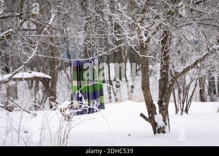 Wollkarot hängt an einer Wäscheleine zwischen frostbedeckten Bäumen in einem ruhigen Wintergarten. Gemütliche Wolldecke, die an einem frostigen Wintertag draußen trocknet. Stockfoto