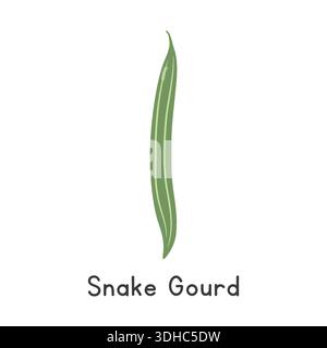 Schlange Kürbis flache Cartoon Vektor-Illustration isoliert auf weißem Hintergrund. Snake Gourd Clipart Stock Vektor
