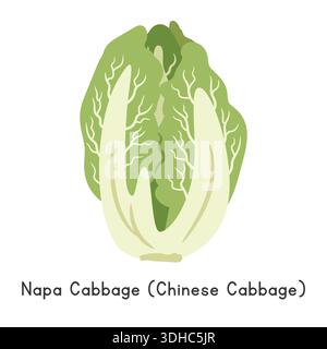 Napa Kohl (Brassica rapa) flache Zeichentrick Vektor-Illustration. Napa Kohl Clipart Stock Vektor