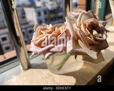 Zwei rosa Rosen in einer Glasvase auf einer Sonnenbank Stockfoto