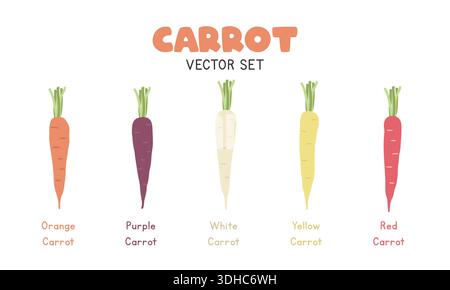 Karottenvektor-Illustrationssatz. Mehrfarbiges Cartoon Clipart-Set in flachem Stil. Orange, Lila, weiß, Gelb und Rote Karotte, Flache Vektorkonstruktion Stock Vektor
