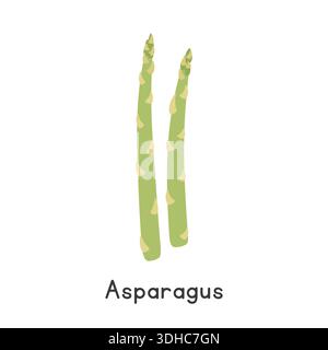 Spargel Vektor-Illustration. Garten Spargel Cartoon Clipart, Gemüse im flachen Stil. Auch Sparrowgrass genannt, Sparrow's Guts Stock Vektor