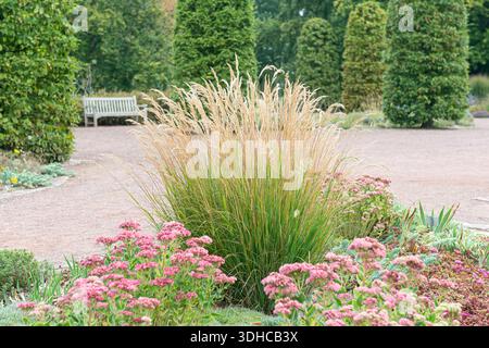Silberährengras (Stipa calamagrostis), 'Förster-Garten' Stockfoto
