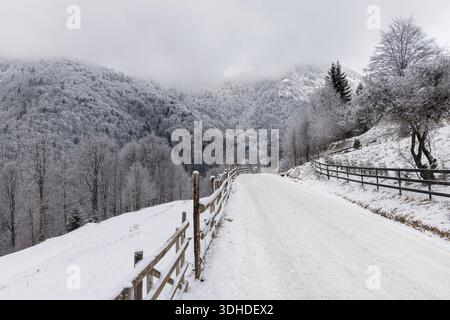 Schneebedeckte Bergstraße durch den Winterwald in den Karpaten, Rumänien. Kalte nebelige Landschaft mit frostigen Bäumen, ruhige Atmosphäre, ländlich Stockfoto