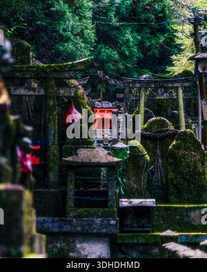Kyoto, Japan - 18. Januar 2026: Blick auf moosbedeckte Steinlaternen und Statuen, eingebettet in üppiges Grün, am Fushimi Inari Schrein, einem ruhigen Kontrapunkt Stockfoto