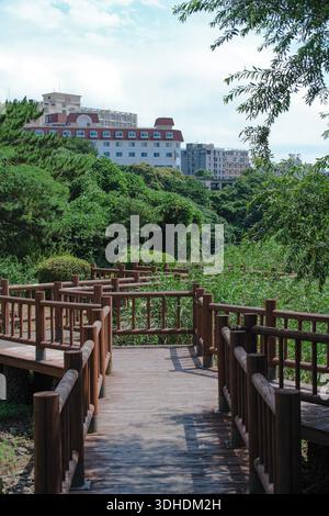 Ländliche Dorflandschaft auf Jeju Island, Südkorea, mit Zitrusplantagen, niedrigen Wohnhäusern und subtropischem Grün unter Tageslicht. Stockfoto