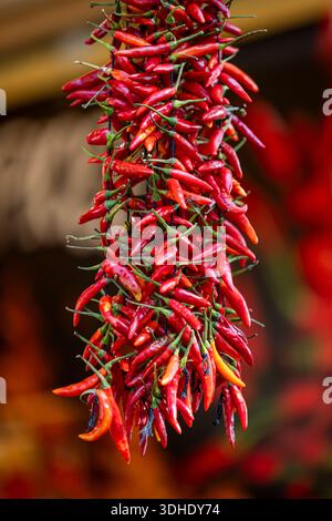 Rote Cayenne-Chilischoten zur Dekoration Stockfoto