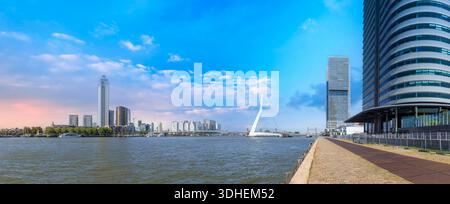 Panoramablick auf die Erasmus Erasmusbrug-Brücke in Rotterdam. Skyline des Finanzviertels. Stockfoto