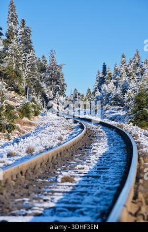 Malerische Aussicht auf geschwungene Schmalspurbahnen, die durch einen gefrorenen Winterwald im Nationalpark Harz führen. Klarer blauer Himmel und frostige Kiefern. Stockfoto