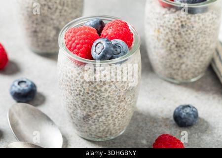 Süßer gesunder Chiasamen-Pudding mit Mandelmilch und Beeren Stockfoto