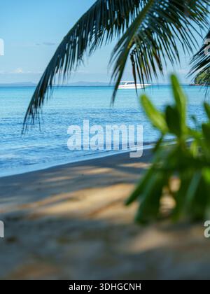 Sandige tropische Küste mit Palmblättern im Vordergrund und ruhigem Meer, das sich bis zum Horizont erstreckt. Minimale und ruhige Insellandschaft. Stockfoto