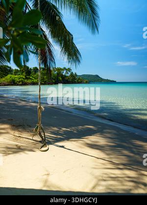 Sonnendurchfluteter tropischer Strand mit Palmenschatten auf dem Sand und ruhigem Meer im Hintergrund. Natürliche Insellandschaft in warmen Tönen. Stockfoto