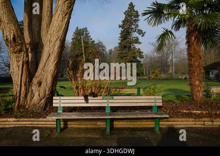 Ein schwarzes Eichhörnchen auf einer Parkbank im Stanley Park in Vancouver, BC. Stockfoto