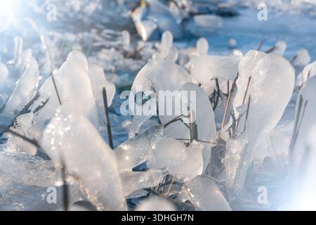 Eiszapfen und Eisskulpturen bilden sich auf Gras und Zweigen am Rand eines gefrorenen Sees. Die Szene zeigt das Winterwetter und natürliche Eisformen im Sonnenlicht. Stockfoto