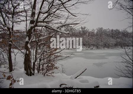 Malerischer Blick auf den gefrorenen See, umgeben von Wald Stockfoto